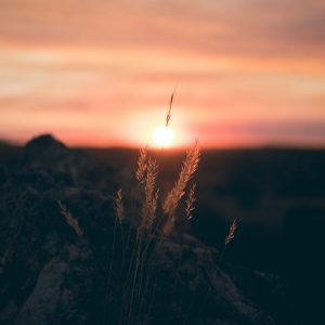 Bendita Sea la Mañana