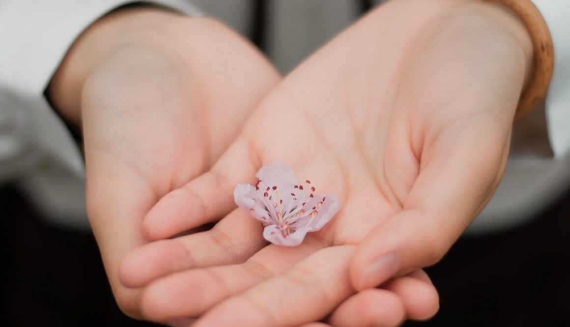 blur-close-up-flower-hands-460295