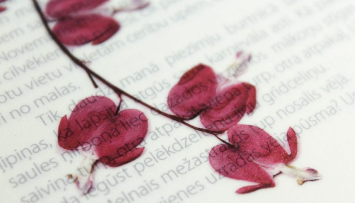 pexels-elina-krima-3309967