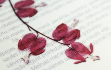 pexels-elina-krima-3309967