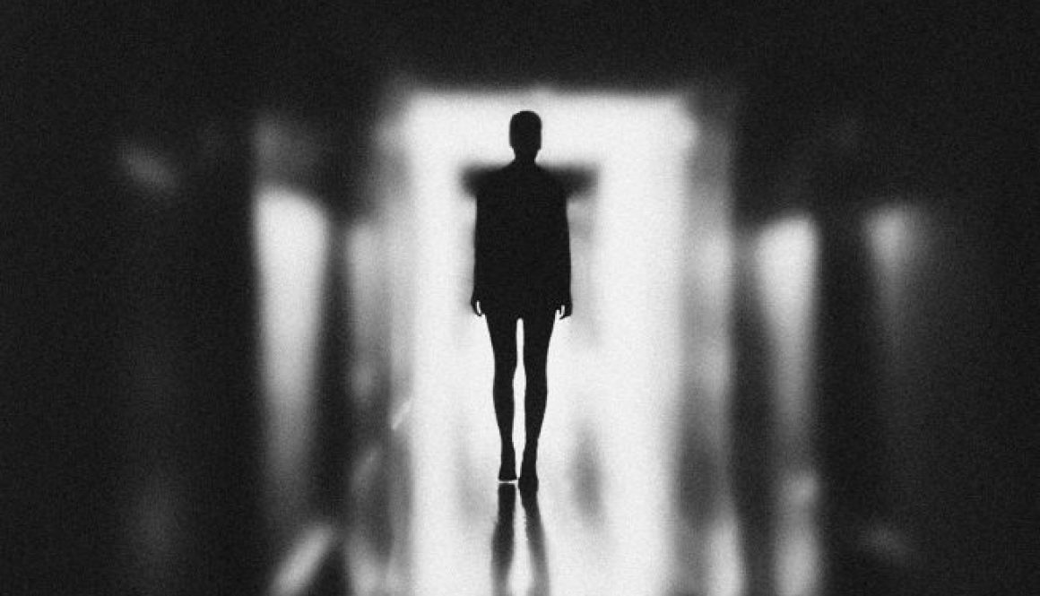 pexels-elina-krima-3343253