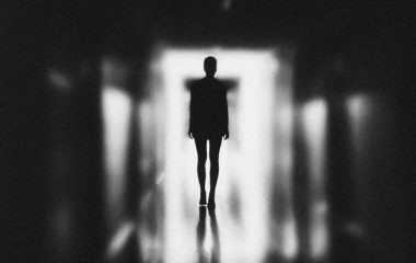 pexels-elina-krima-3343253