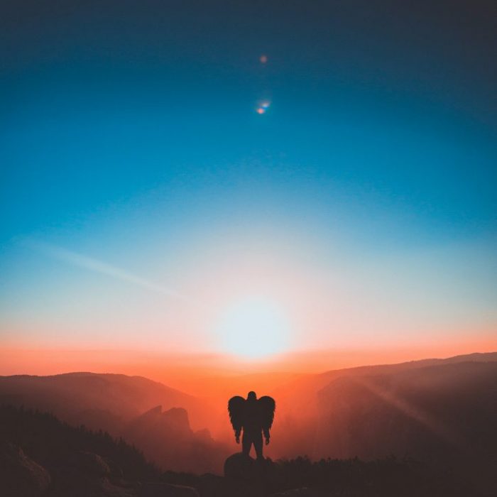 pexels-rakicevic-nenad-2043837